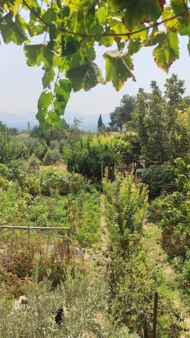 Engin Home Pamukkale Exterior photo